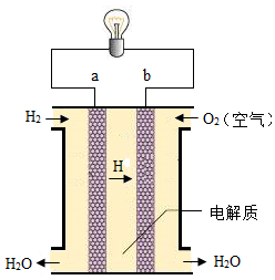 目前,一種新型燃料電池--氫氧燃料電池廣泛運用于氫能源汽車。如圖是一種氫氧燃料電池的示意圖,請回答下列問題: