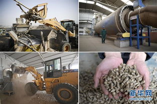 寧夏青銅峽 生物質(zhì)燃料為供暖增添新熱源